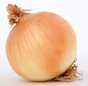 Small, white onion