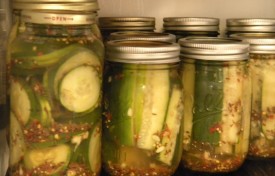 The World of Pickles